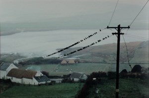 Image description is not available for 2008.056